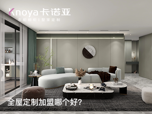 紹興市全屋定製加盟哪個品牌好?紹興市全屋定製招商加盟政策怎樣?